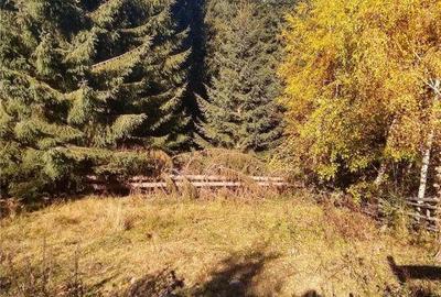 Teren de 450 mp, în Băișoara