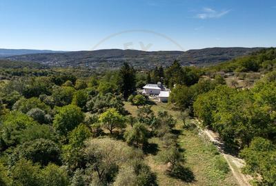 Terenuri 12.225 mp - Ramnicu Valcea, Aranghel - 12