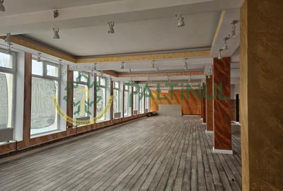 Spațiu comercial de închiriat – 745 mp, zona Aria, Sibiu - 2