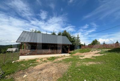 Casă cu 10 camere cu Teren 1000 Mp în Mănăștur