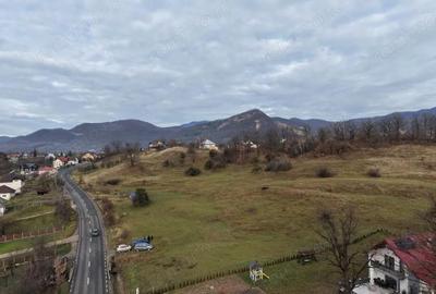 Teren în Șișești - 2