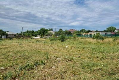 Teren de 972 mp, în Tânganu - 3