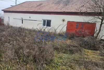 Hala 330 mp + Teren 1000 mp, Borsa, Cluj - 3