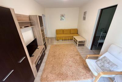 Apartament cu 2 camere semidecomandat, mobilat în Dacia - 7