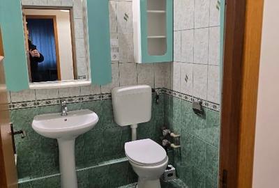 Apartament cu 2 camere semidecomandat în Tineretului - 5