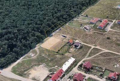 Teren Construcții intravilan de 2791 mp, în Dumbrăvița - 2