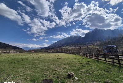 Spațiu comercial, în Plaiul Foii - 6