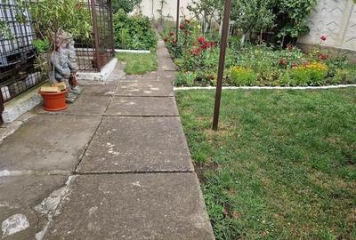 Poveste saseasca la umbra vitei de vie, cu crama si gradina cu flori, Central Co - 37
