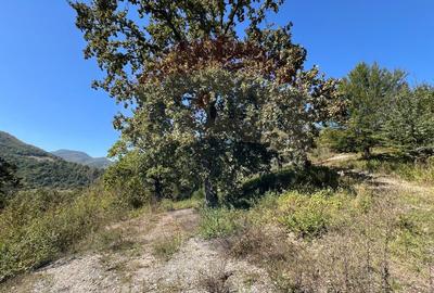 Teren intravilan Buru | ideal agrement, activita?i outdoor - 14