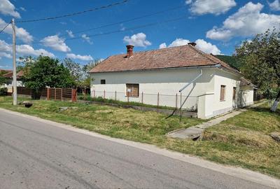 Casă cu Teren 2973 Mp în Șiria - 4