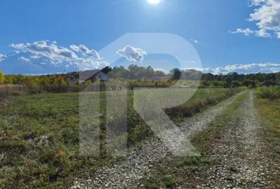 Teren de 1000 mp, în Crevedia - 3