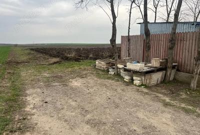 Teren de 2000 mp, în Vasile Alecsandri