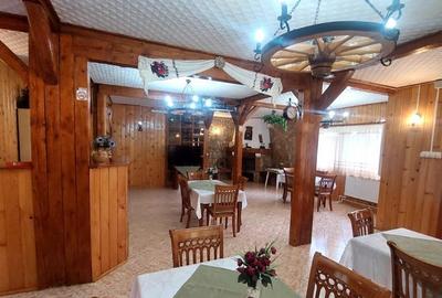 Pensiune turistica (afacere la cheie) Lepsa - 5