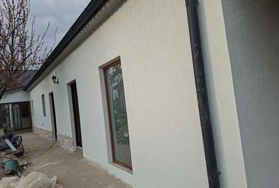 Casă cu 4 camere cu Teren 700 Mp în Peciu Nou - 3