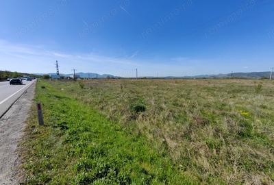 Teren în Simeria - 4