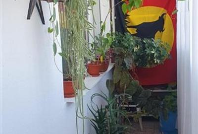 Apartament cu 2 camere decomandat, mobilat în Apollo - 11