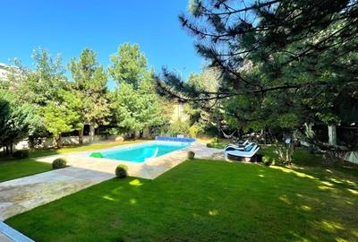 Vila cu piscina