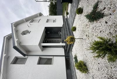 DE INCHIRIAT Vila spa?ioasa D+P+M in Timi?oara - 2