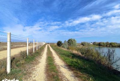 Teren de 63700 mp, în Borș - 10