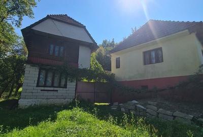 Casă cu 4 camere în Criștioru de Jos - 5