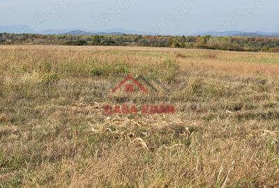 Teren intravilan in Baicoi zona targului--10.000mp--5e - 11