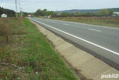 Teren de 1600 mp, în Bolotești - 1