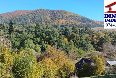 3600 mp teren intravilan, sat Bistrita, 16 Euro/mp - 8