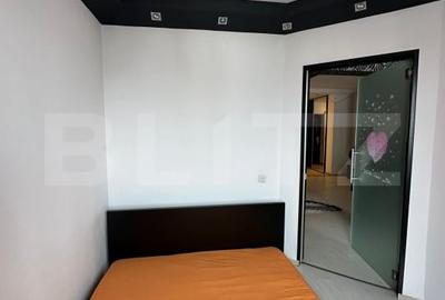 Apartament cu 2 camere semidecomandat, mobilat în Calea Turzii - 13