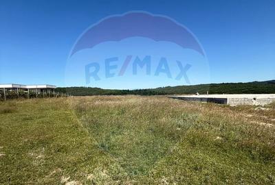 Teren 3,757mp Paltinoasa / Strada principala - 3