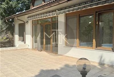 Vila Individuala Spectaculoasa cu Piscina, Erou Iancu Nicolae-Pipera - 49