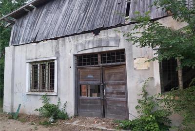Casă cu 6 camere în Buziaș - 6