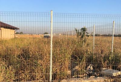 Teren intravilan 500 mp Magurele - 4