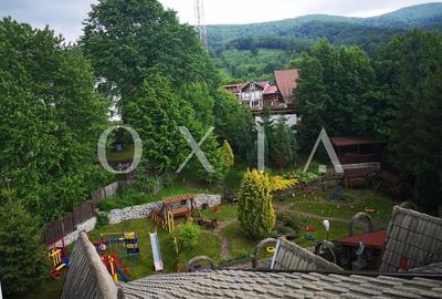 SX475 Valiug- Oportunitate de investitie in turismul montan! - 12