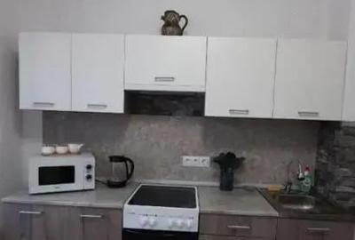 Apartament cu o camera de inchiriat in zona Dambovita - 1
