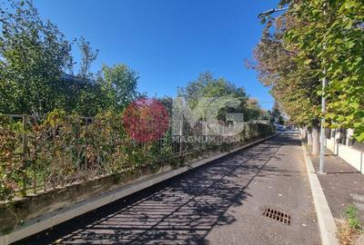 Loturi 500mp Strada Nuferilor-Petrom City - 8