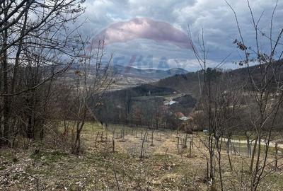 Teren Construcții intravilan de 12458 mp, în Văleni (Meteș) - 4