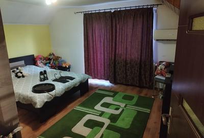 Vila de vanzare .suprafata utila totala 670 mp,in Sura  Mare - 11