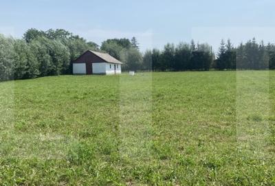 Teren intravilan 3.000 mp cu front stradal 30 m - Sat. Moacsa, utilitati.