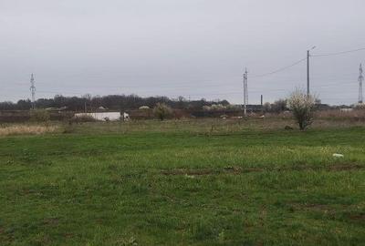 Teren pretabil hala industriala/rezidential Catelu - 3