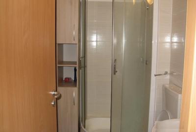 Garsonieră decomandată în Lujerului - 9