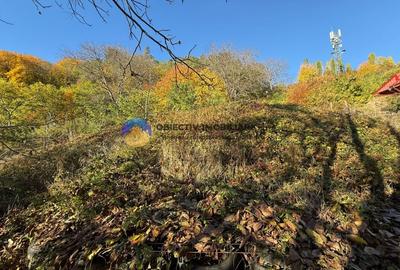 Teren intravilan 1543 mp - zona Darmanesti Teren intravilan 1543 mp - zona Darmanesti - 3