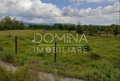 Teren 5000 mp, cu utilita?i, in comuna Crasna - 3