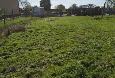 COMISION 0% | Teren Intravilan | Becicherecul Mic | 1000mp Utilitati - 3