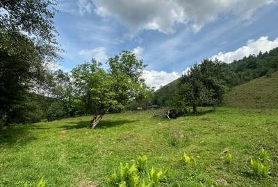 Teren 2 hectare pe Valea Ariesului, zona Scarita-Belioara, pret oportun 2 Eur/mp - 17