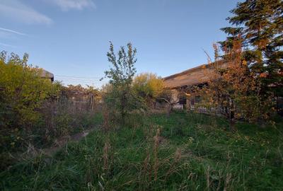 Spațiu comercial, în Cerbu - 4