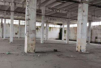 Hala ideal productie Oltenita - 3