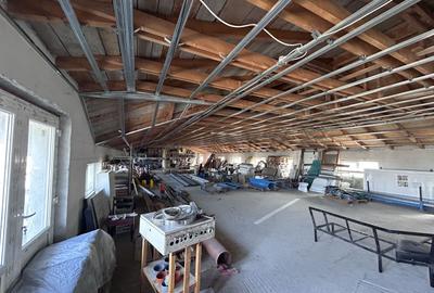 Spațiu industrial, de 960 mp, în Micălaca - 19