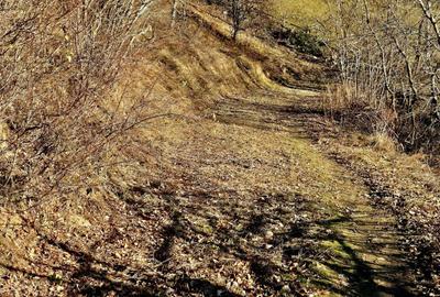 Teren de vânzare în sat Măgura/ Brasov– loc pentru familie, liniște și suflet - 30