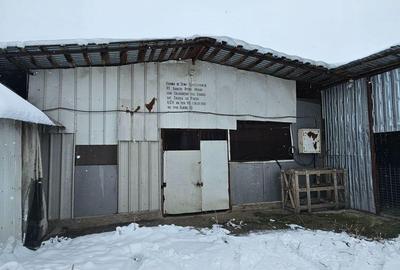 Ferma Calugareni 11860 mp 90 000 Euro - 7