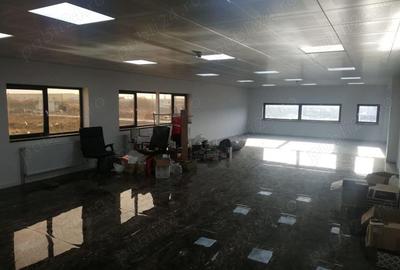 Afumati inchiriere spatiu hala + birouri - 8